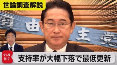 岸田総理「増税メガネ」からの「減税やるやる詐欺」で国民ブチギレ　内閣発足以来の最低支持率